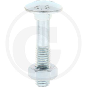 VPE50 slotbouten M10x50 DIN 603 staal 4.6 gegalvaniseerd platte ronde kop