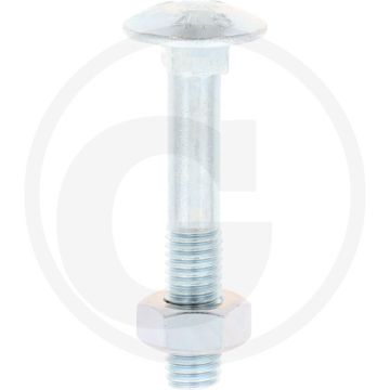 VPE50 slotbouten M10x60 DIN 603 gegalvaniseerd staal 4.6 platte ronde kop