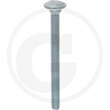 VPE25 slotbouten M10x120 DIN 603 staal 4.6 gegalvaniseerd platte ronde kop
