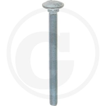 VPE25 slotbouten M10x120 DIN 603 staal 4.6 gegalvaniseerd platte ronde kop
