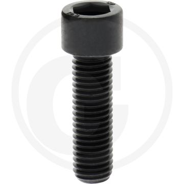 Cil. binnenzeskantbout M12x40 DIN912 Staal 12.9