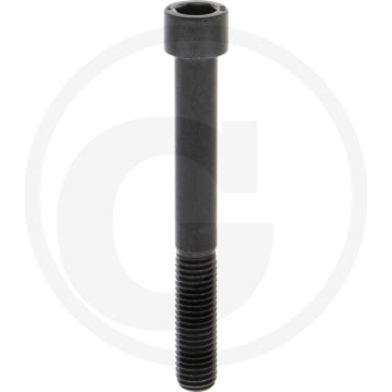 Cil. binnenzeskantbout M12x100 DIN912 Staal 12.9