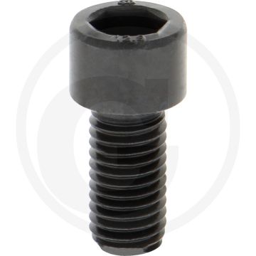 Cil. binnenzeskantbout M12x25 DIN912 Staal 12.9