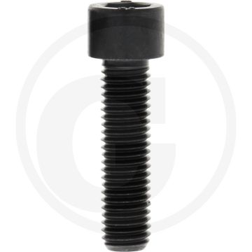 Cil. binnenzeskantbout M12x45 DIN912 Staal 12.9