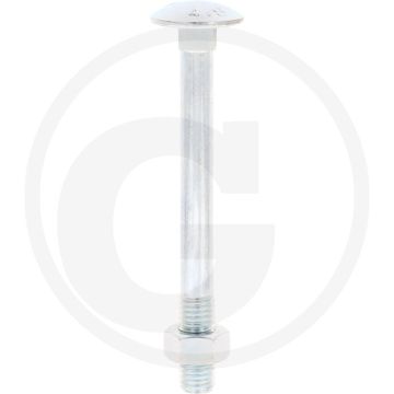 VPE25 slotbouten M12x120 DIN 603 staal 4.6 gegalvaniseerd platte ronde kop