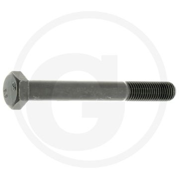 Zeskantbout DIN 960 M12x100 Staal 8.8 Zwart