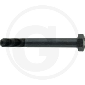 Zeskantbout DIN 960 M12x100 Staal 10.9 Zwart