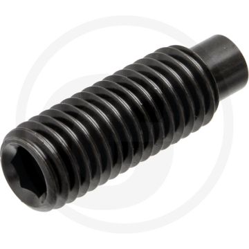 Stelbout M12 x 20 DIN 915 Staal Gegalvaniseerd Binnenzeskant