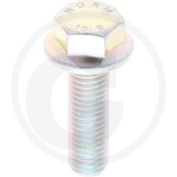 Zeskantbout met flens M12 x 40 (DIN 6921)
