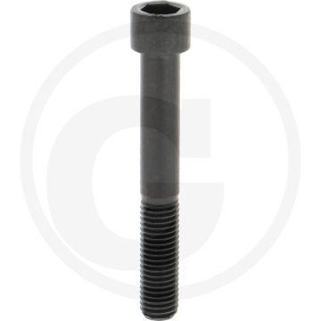 Cil. binnenzeskantbout M14x100 DIN912 Staal 12.9