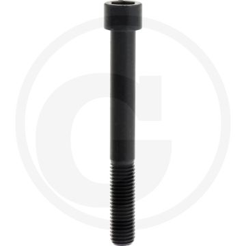 Cil. binnenzeskantbout M14x120 DIN912 staal 12.9