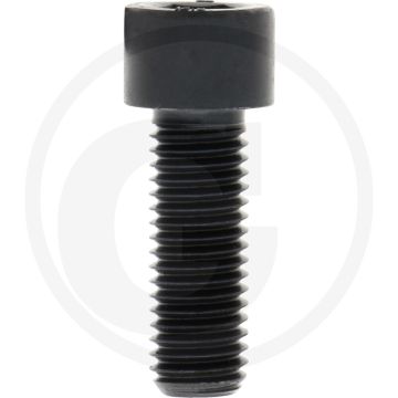 Cil. binnenzeskantbout M14x40 DIN912 Staal 12.9