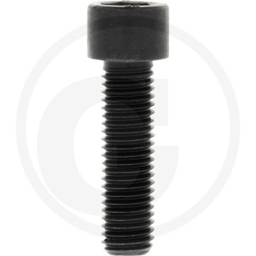 Cil. binnenzeskantbout M14x50 DIN912 Staal 12.9