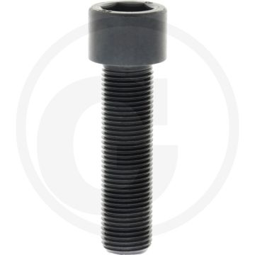 Cil. binnenzeskantbout M16x60 DIN912 Staal 12.9 Zwart