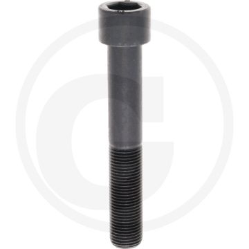 Cil. binnenzeskantbout M16x100 DIN912 Staal 12.9 Metrisch fijne draad