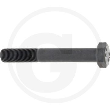 Zeskantbout DIN 960 M16x110 Staal 8.8 Zwart
