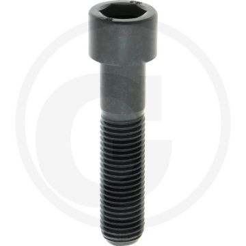 Cil. binnenzeskantbout M16x70 DIN912 Staal 12.9 Metrische draad
