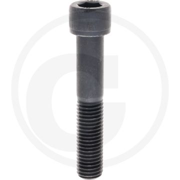 Cil. binnenzeskantbout M18x100 DIN912 Staal 12.9 metrische schroefdraad