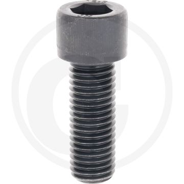 Cil. binnenzeskantbout M18x50 DIN912 Staal 12.9