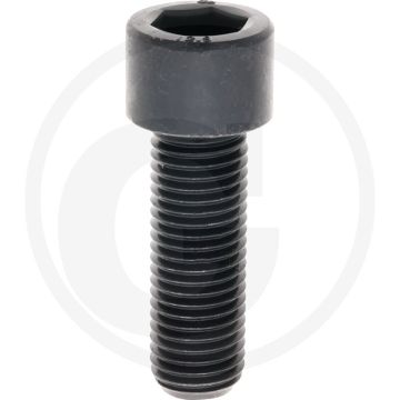Cil. binnenzeskantbout M20x60 DIN912 staal 12.9