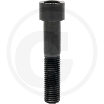 Cil. binnenzeskantbout M20x100 DIN912 Staal 12.9