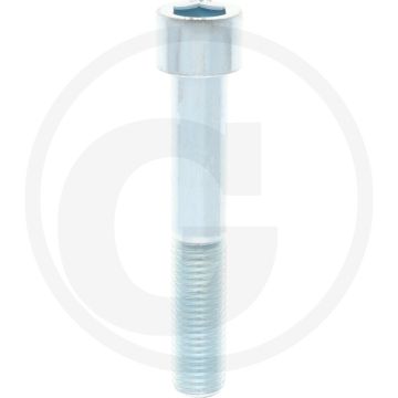 Cil. binnenzeskantbout M20x120 DIN912 Staal 10.9 Gegalvaniseerd
