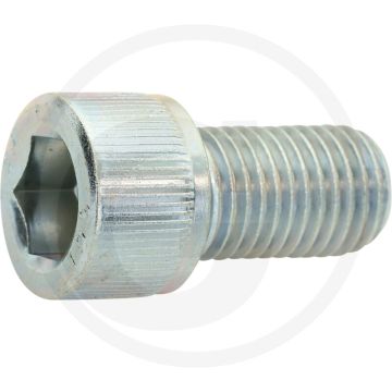 Cil. binnenzeskantbout M20x35 DIN912 Staal 10.9 Gegalvaniseerd