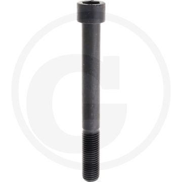 Cil. binnenzeskantbout M20x180 DIN912 Staal 12.9