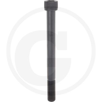 Cil. binnenzeskantbout M20x220 DIN912 Staal 12.9
