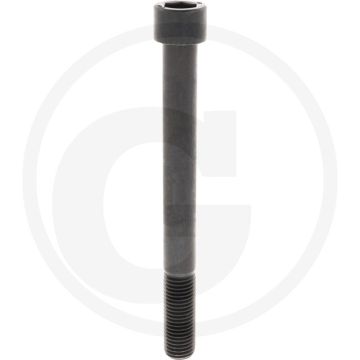 Cil. binnenzeskantbout M20x200 DIN912 Staal 12.9