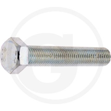 Zeskantbout DIN 933 M20x110 Verzinkt Staal 8.8