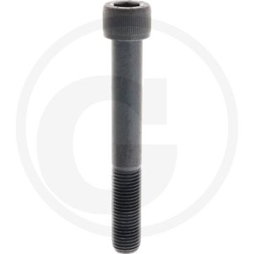 Cil. binnenzeskantbout M22x160 DIN912 Staal 12.9