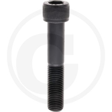 Cil. binnenzeskantbout M22x120 DIN912 Staal 12.9