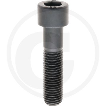 Cil. binnenzeskantbout M24x100 DIN912 Staal 12.9 Metrische schroefdraad