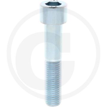 Cil. binnenzeskantbout M24x120 DIN912 staal 10.9 gegalvaniseerd