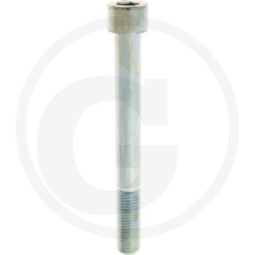 Cil. binnenzeskantbout M24x220 DIN912 Staal 10.9 Gegalvaniseerd