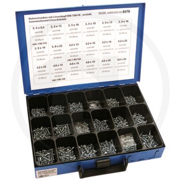 Assortiment plaatschroeven zelftappend (met bolle kop en binnenzeskant)