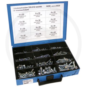 Assortiment binnenzeskantbouten DIN 912 verzinkt staal 8.8