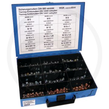 Assortiment borgmoeren DIN 937 Staal verzinkt lage vorm met kunststof ring