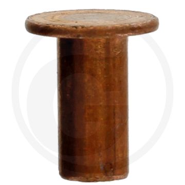 VPE100 koperen klinknagels 5x10 DIN 7338 - Koper, Vorm B