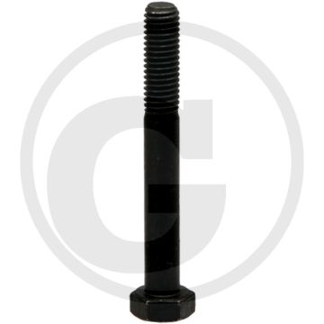 Walterscheid Breekbout (M8 x 60, DIN 931)