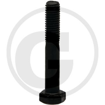 Walterscheid Breekbout (M8 x 50, DIN 931)