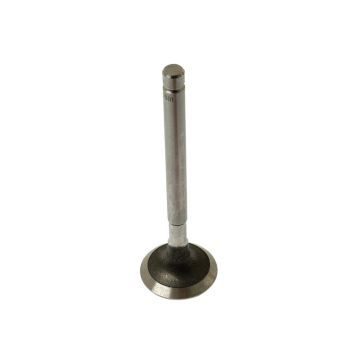 soupape d'échappement Standard