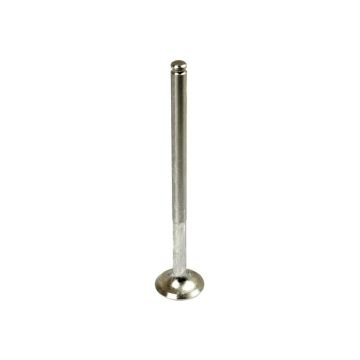 soupape d'échappement Standard
