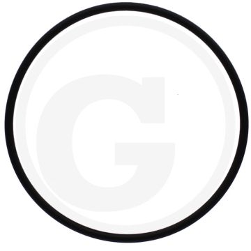 O-ring (voor het afdichten van de cilinderbus)