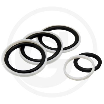 Afdichtset (voor flensvlak van stuurventiel 85219130 met O-ring en steunring)