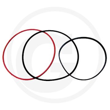 O-ring (cilinderbus)