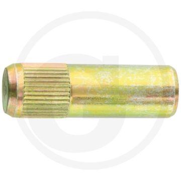 Scharnierstift (voor deurruit)