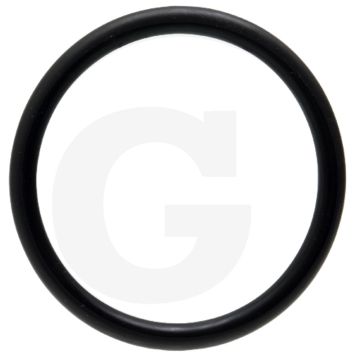 Fritzmeier O-ring