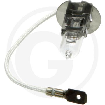 Gloeilamp